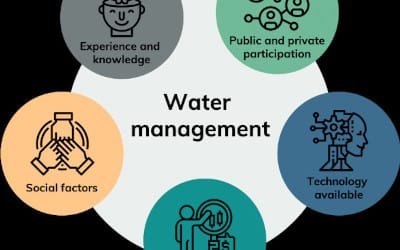 Water Management in South Asia: A Problem Management Approach