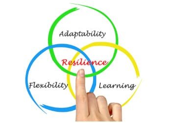 Organisational Resilience: What is it and why does it matter during a Crisis