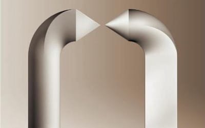 The Dilemma of the Bi-Moral Society